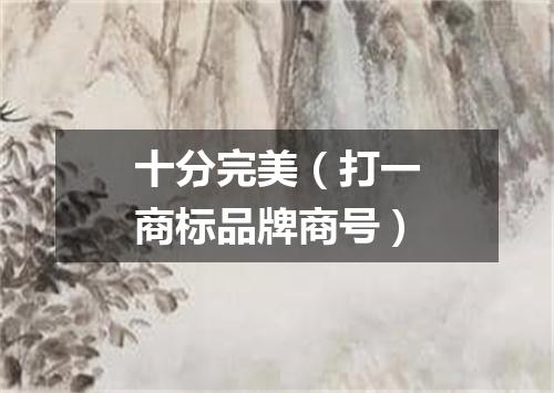 十分完美（打一商标品牌商号）