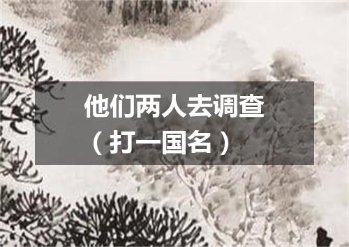 他们两人去调查（打一国名）