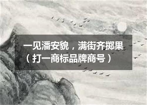 一见潘安貌，满街齐掷果（打一商标品牌商号）