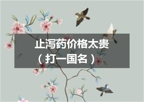止泻药价格太贵（打一国名）