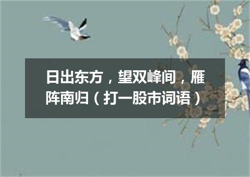 日出东方，望双峰间，雁阵南归（打一股市词语）