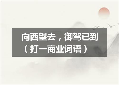 向西望去，御驾已到（打一商业词语）