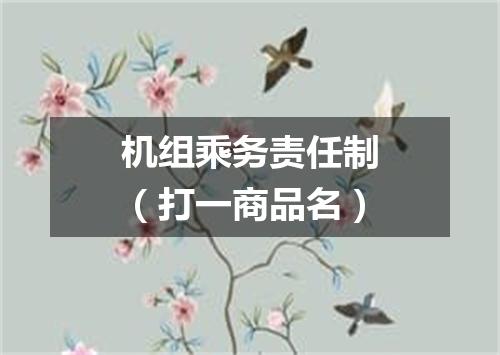 机组乘务责任制（打一商品名）