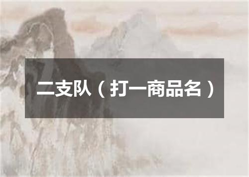 二支队（打一商品名）