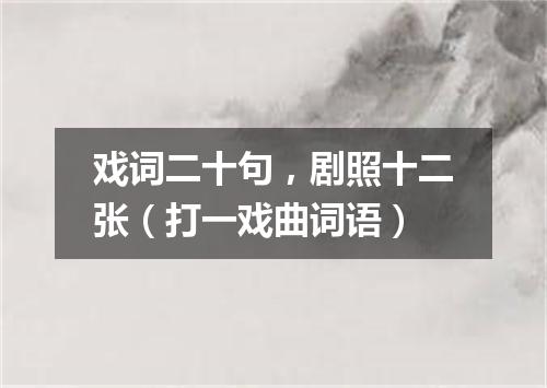 戏词二十句，剧照十二张（打一戏曲词语）