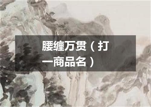 腰缠万贯（打一商品名）