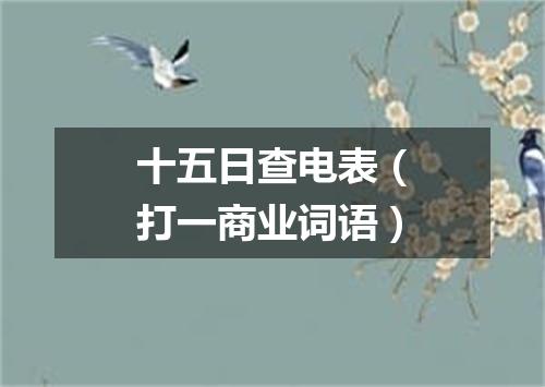 十五日查电表（打一商业词语）