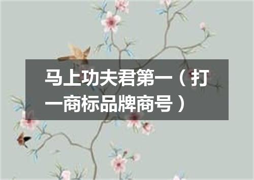 马上功夫君第一（打一商标品牌商号）