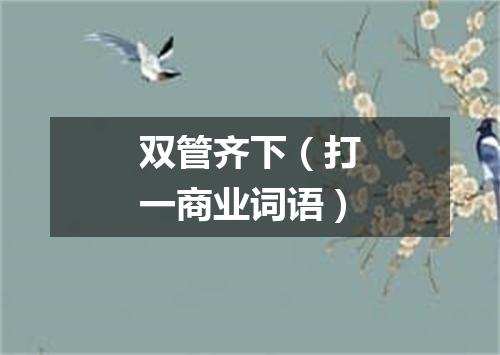 双管齐下（打一商业词语）