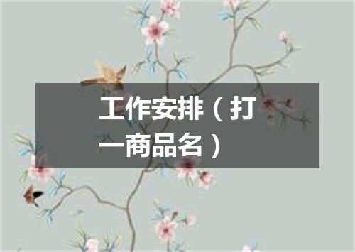 工作安排（打一商品名）