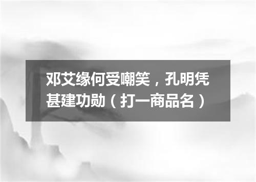 邓艾缘何受嘲笑，孔明凭甚建功勋（打一商品名）