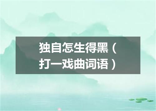 独自怎生得黑（打一戏曲词语）