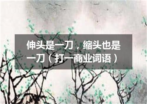 伸头是一刀，缩头也是一刀（打一商业词语）