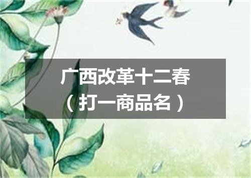 广西改革十二春（打一商品名）