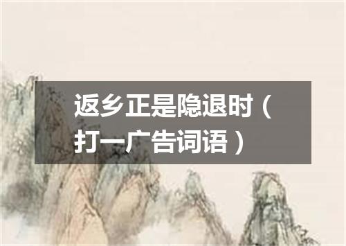 返乡正是隐退时（打一广告词语）