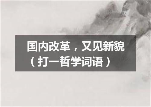 国内改革，又见新貌（打一哲学词语）