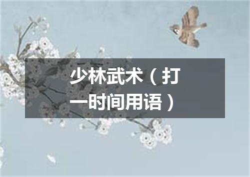 少林武术（打一时间用语）