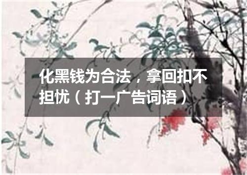 化黑钱为合法，拿回扣不担忧（打一广告词语）