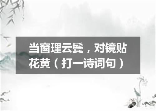 当窗理云鬓，对镜贴花黄（打一诗词句）