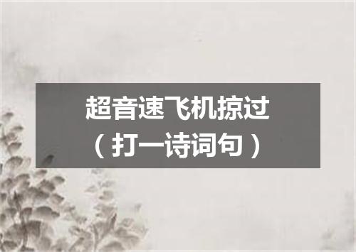 超音速飞机掠过（打一诗词句）