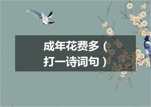 成年花费多（打一诗词句）