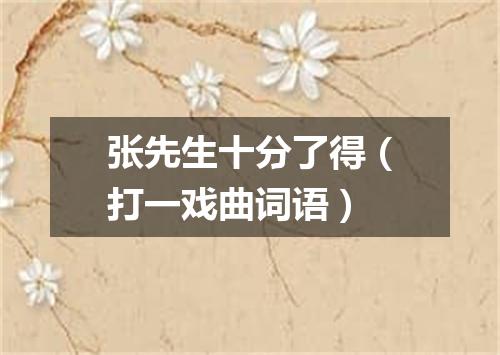 张先生十分了得（打一戏曲词语）