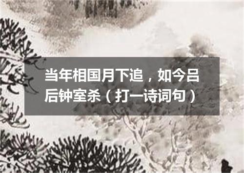 当年相国月下追，如今吕后钟室杀（打一诗词句）