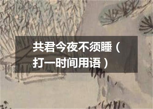 共君今夜不须睡（打一时间用语）