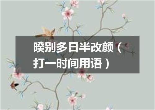 暌别多日半改颜（打一时间用语）