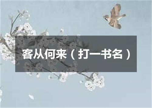 客从何来（打一书名）
