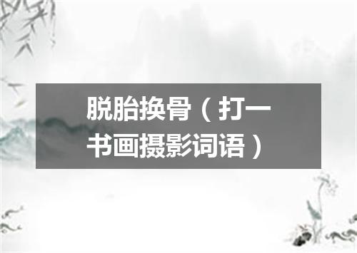 脱胎换骨（打一书画摄影词语）