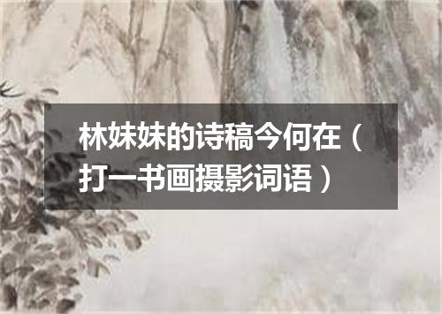 林妹妹的诗稿今何在（打一书画摄影词语）