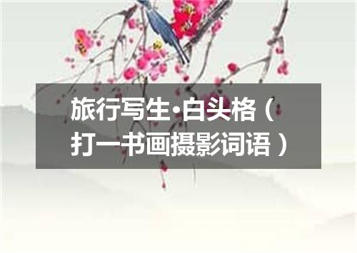 旅行写生·白头格（打一书画摄影词语）