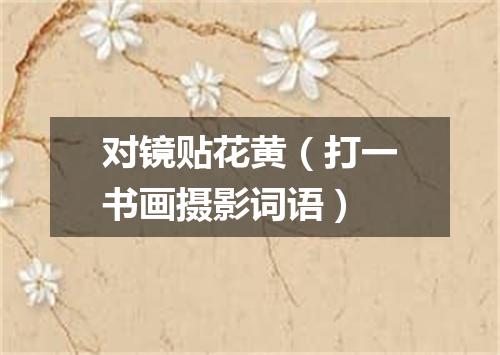 对镜贴花黄（打一书画摄影词语）