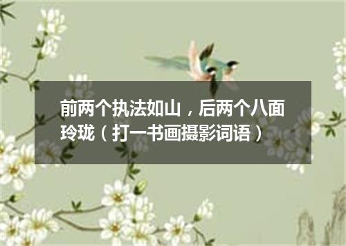 前两个执法如山，后两个八面玲珑（打一书画摄影词语）