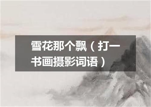 雪花那个飘（打一书画摄影词语）