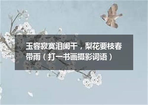 玉容寂寞泪阑干，梨花要枝春带雨（打一书画摄影词语）