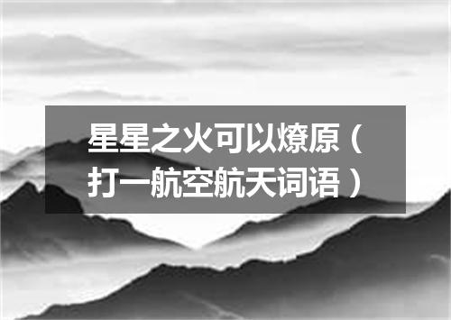 星星之火可以燎原（打一航空航天词语）