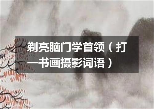 剃亮脑门学首领（打一书画摄影词语）