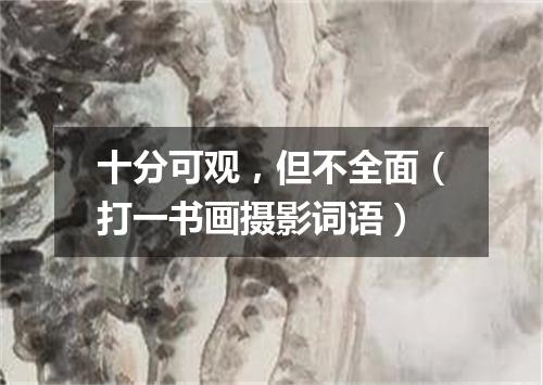 十分可观，但不全面（打一书画摄影词语）