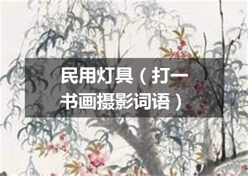 民用灯具（打一书画摄影词语）