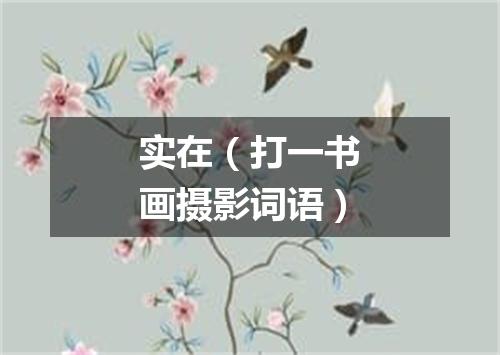 实在（打一书画摄影词语）