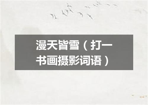 漫天皆雪（打一书画摄影词语）