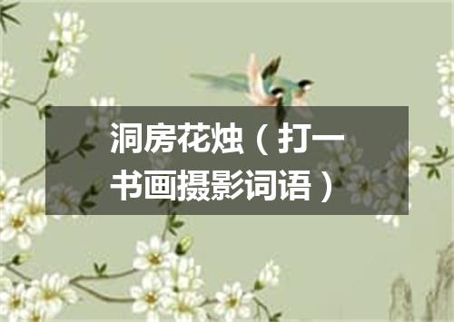 洞房花烛（打一书画摄影词语）