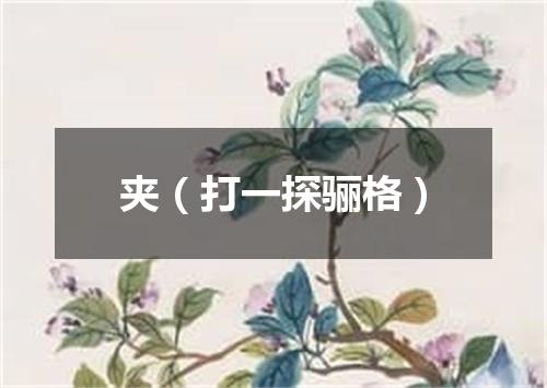 夹（打一探骊格）
