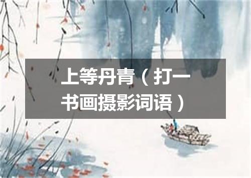 上等丹青（打一书画摄影词语）