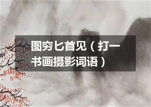 图穷匕首见（打一书画摄影词语）