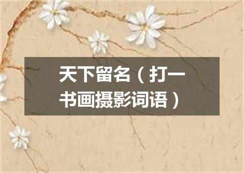 天下留名（打一书画摄影词语）