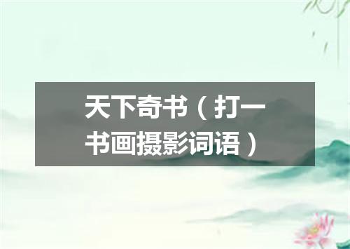 天下奇书（打一书画摄影词语）