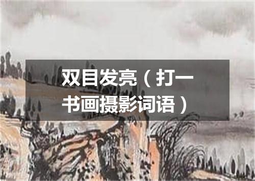 双目发亮（打一书画摄影词语）